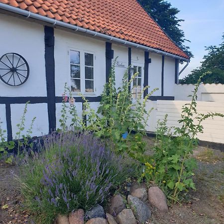 Apartament Violen Åkirkeby Zewnętrze zdjęcie